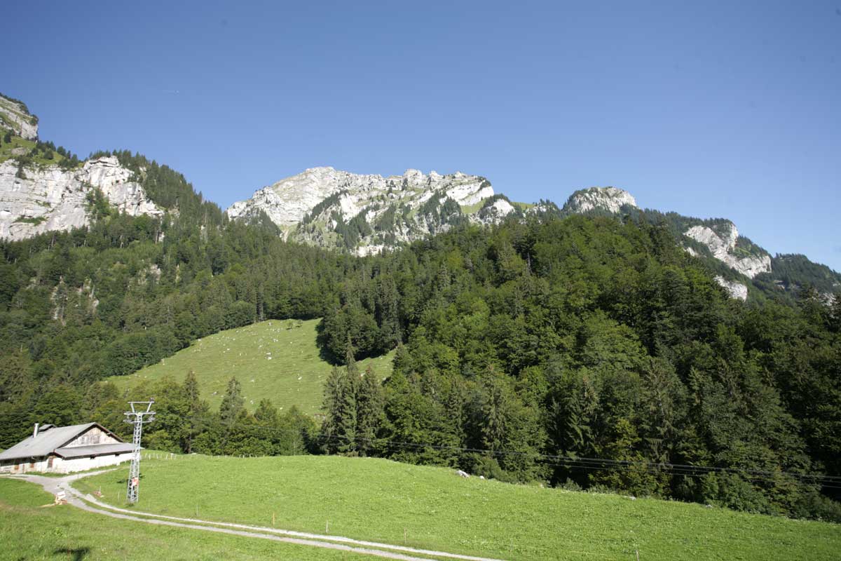 Blick auf die bewaldeten Hänge und Felsgipfel rund um das Waldhaus Stöckalp